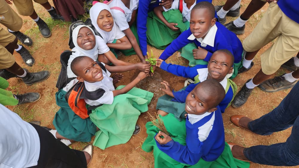 Student planting trees